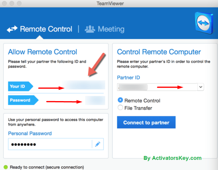 team viewer licence