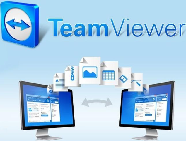 teamviewer cost personal license