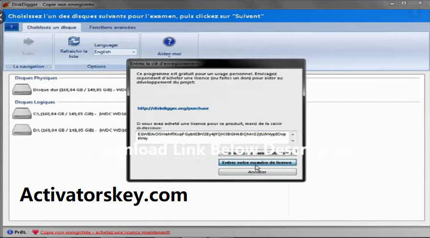 diskdigger license key serial