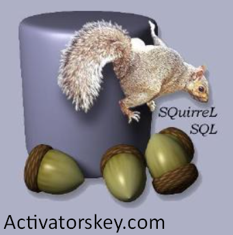 SQuirrel SQL Client Keygen